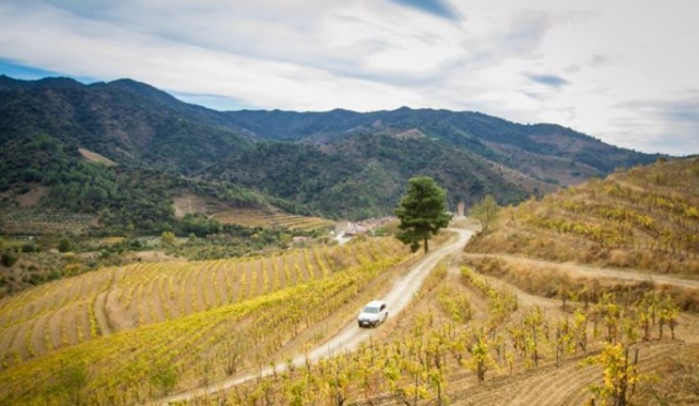  touring the vineyards in a 4x4 